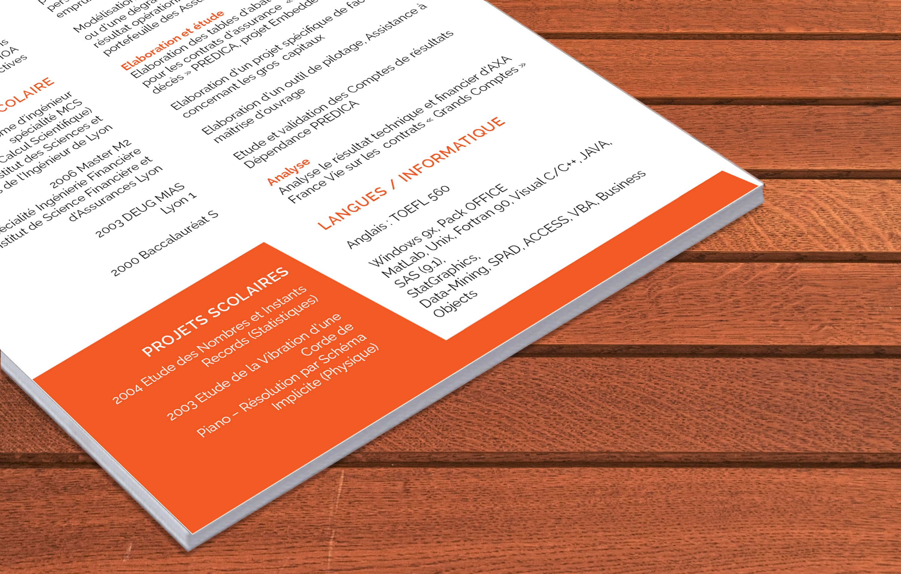 363 CV par competences by Mycvfactory 2.jpg 363 CV par competences by Mycvfactory 2.jpg